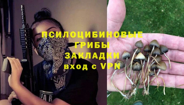 гашиш Богородицк
