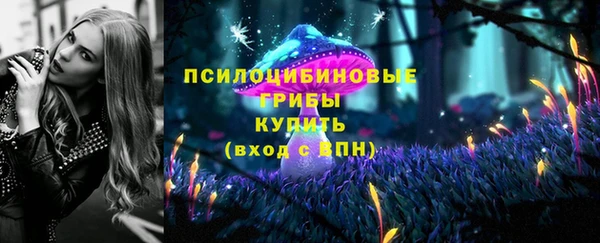 гашиш Богородицк