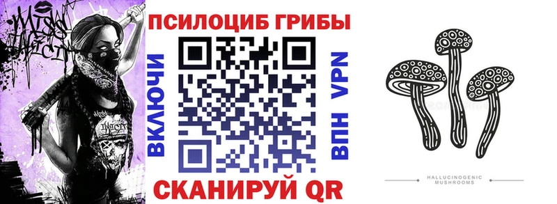 Галлюциногенные грибы ЛСД  Сольвычегодск 